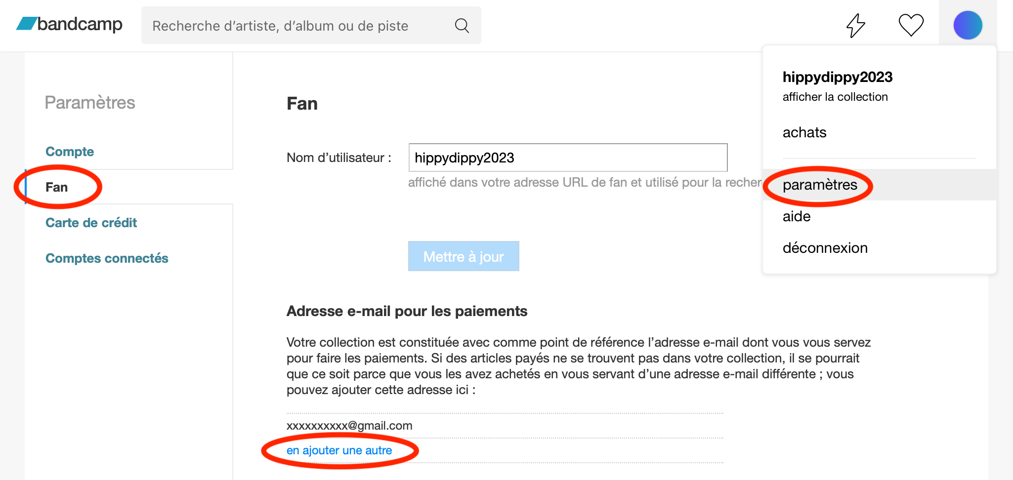 fan_payment_email_fr.png