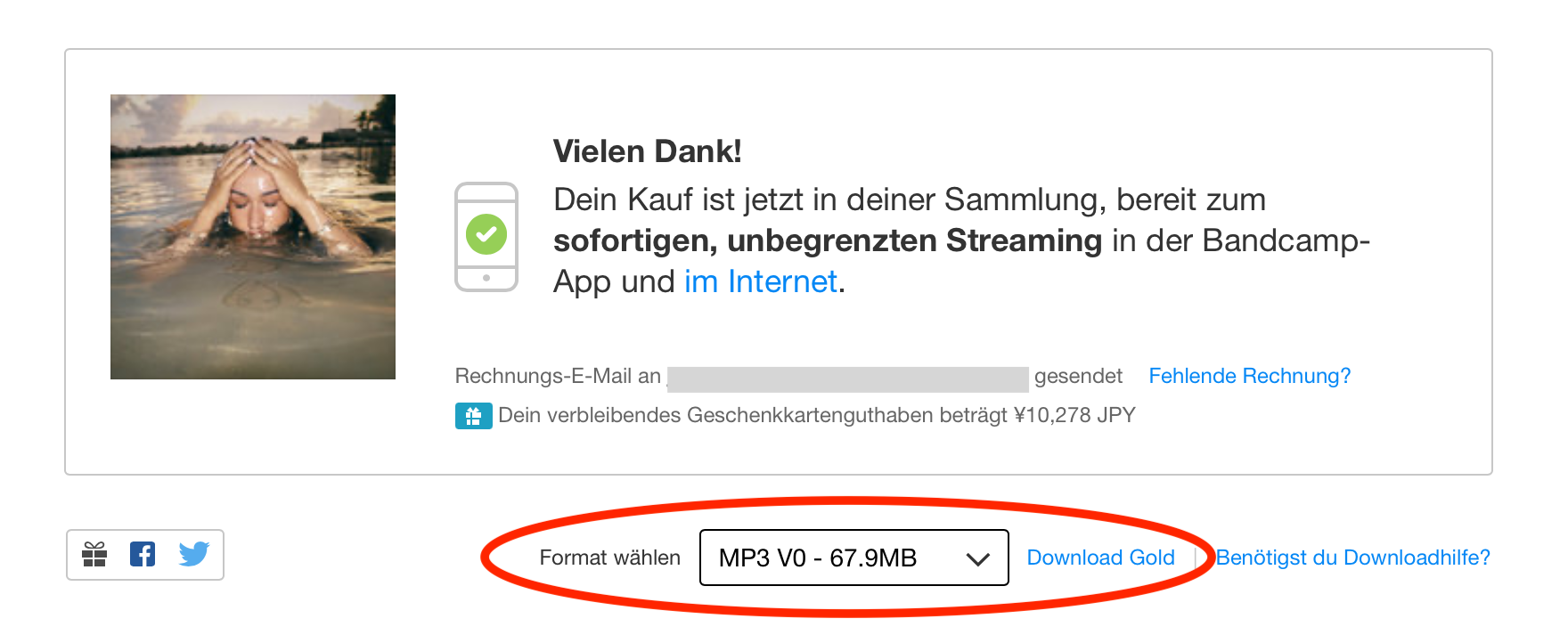 Download-Link auf der Seite nach dem Kauf