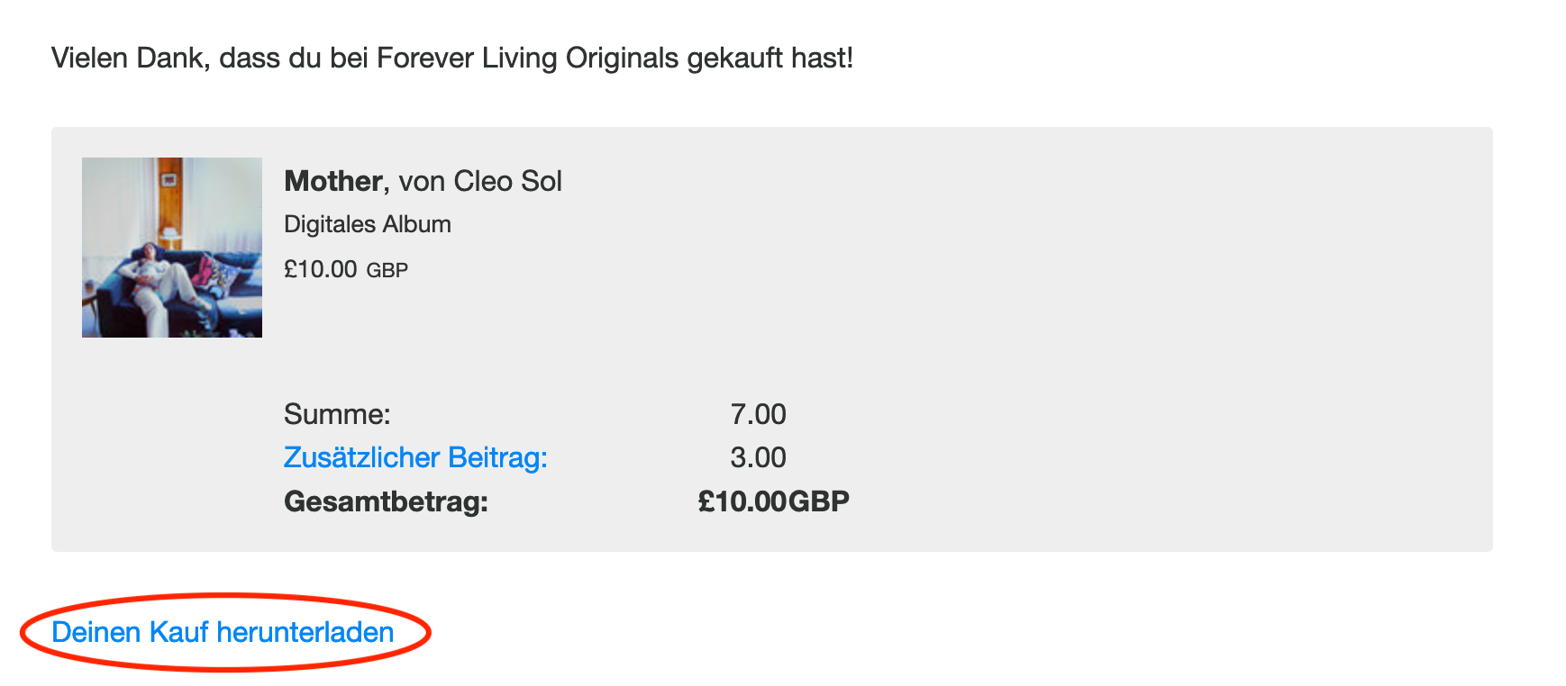 Download-Link auf E-Mail-Rechnung